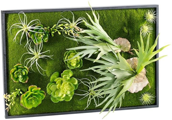 Image du produit Carlo Milano Jardin mural vertical Knut avec plantes décoratives