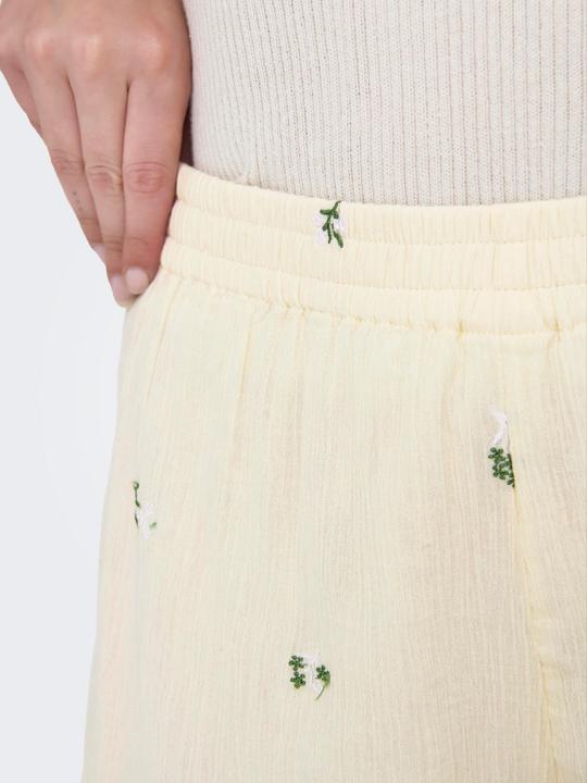 Actual product image JdY JDYALBA Hohe Taille Normal geschnitten Shorts Shorts (L)