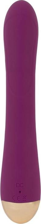 Produktbild Javida 2 Function Vibrator
