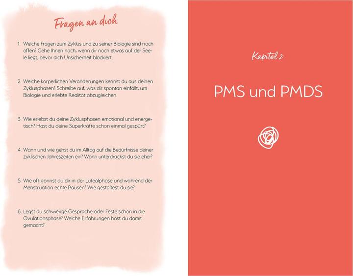 Actual product image Mein PMS und ich (German, Mirjam Wagner, 2023)