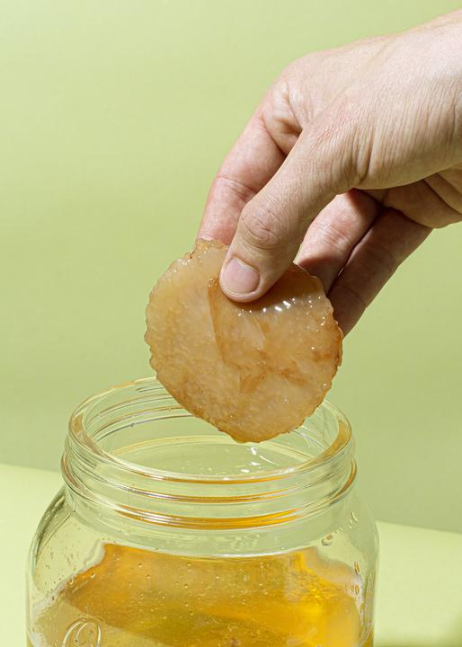 Produktbild KoRo Kombucha Scoby (1 x 20 cl)