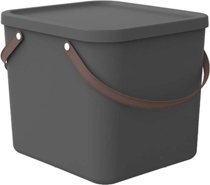 Actual product image Rotho Albula (33 x 34 x 38 cm, 40 l)