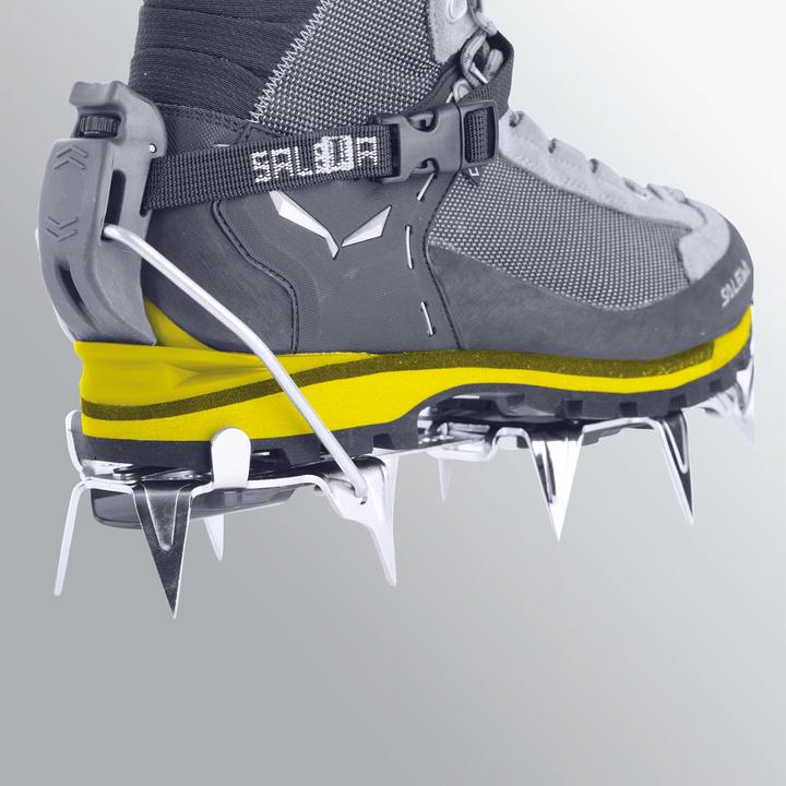 Image du produit Salewa Chaussures Crow GTX (45)