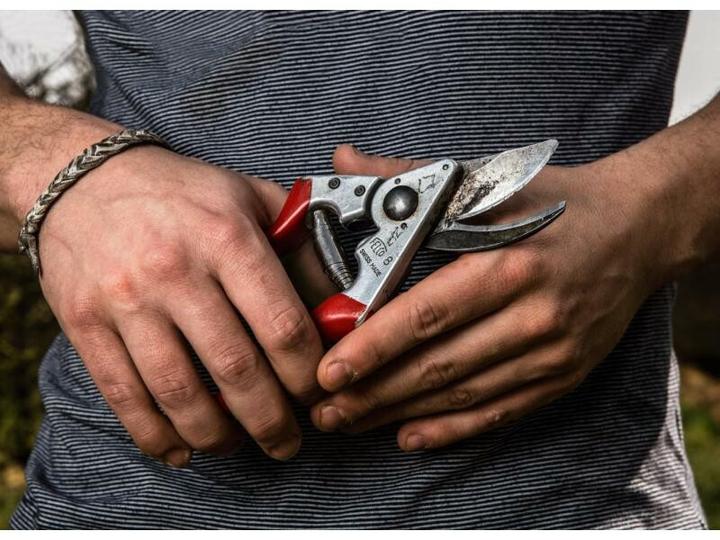 Actual product image Felco 8