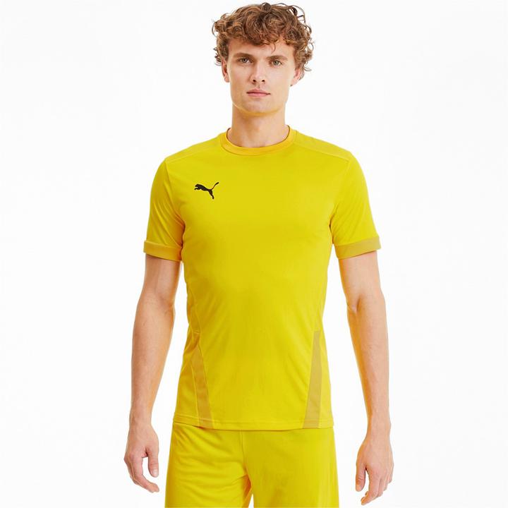Actual product image Puma teamGOAL 23 Jersey-704171 (L)