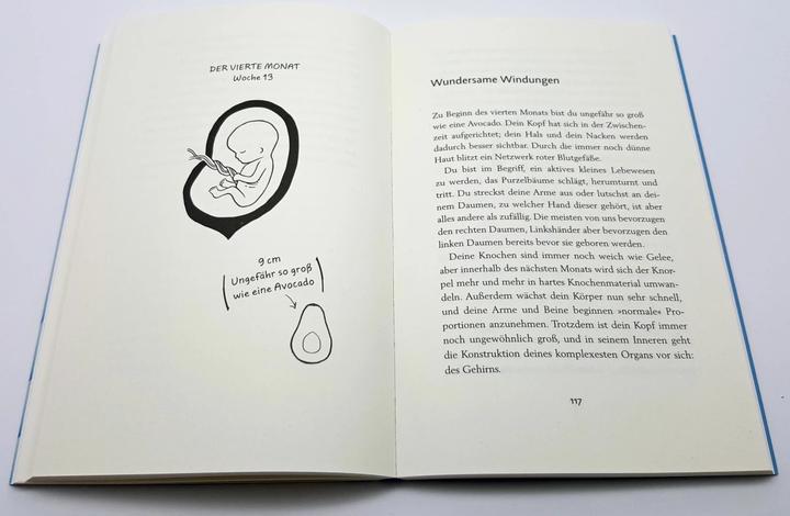 Produktbild Wunder im Bauch (Deutsch, Katharina Vestre, 2019)