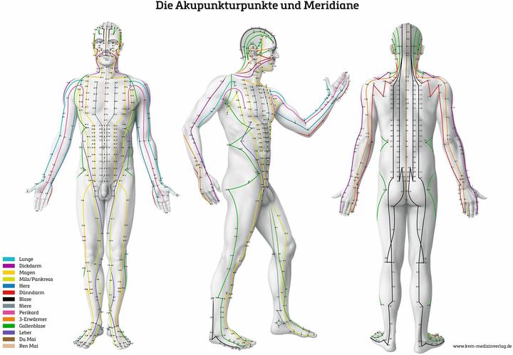 Produktbild Lernposter - Die Akupunkturpunkte und M (Deutsch)