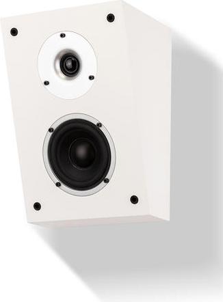 Actual product image Wilson Raptor X (1 pair)