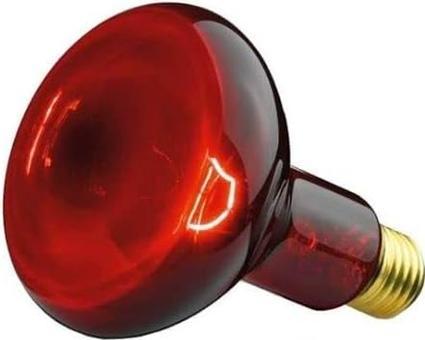 Produktbild Beurer Ersatzstrahler IL 11 (100 W)