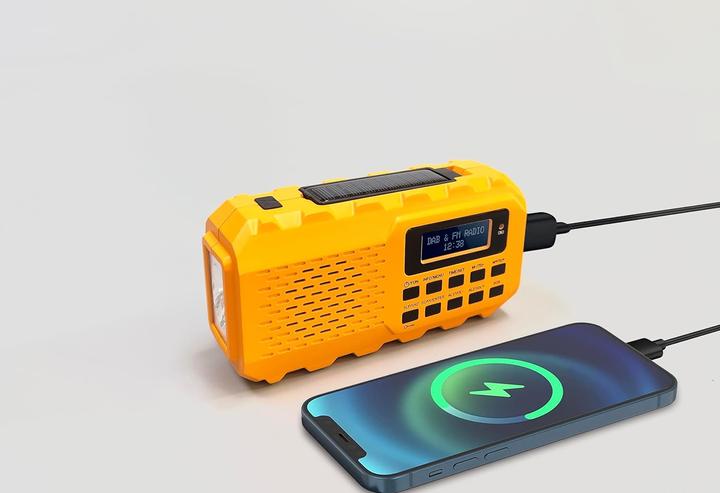 Actual product image Newtro Multifunctional crank radio (FM, DAB)