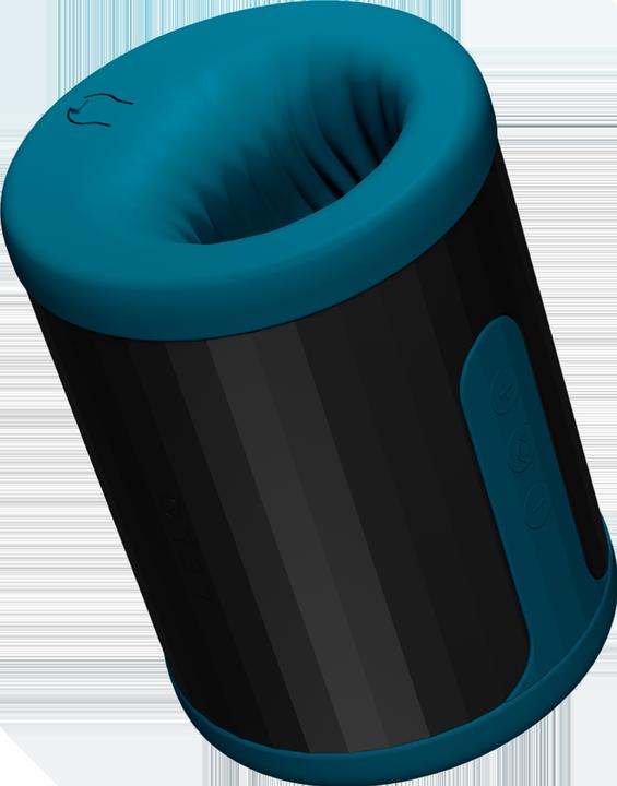 Actual product image LELO F2S