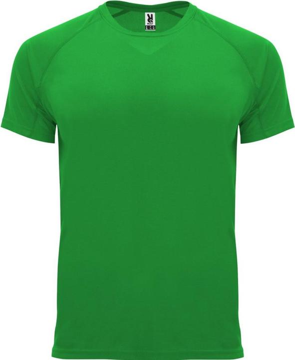 Verde felce