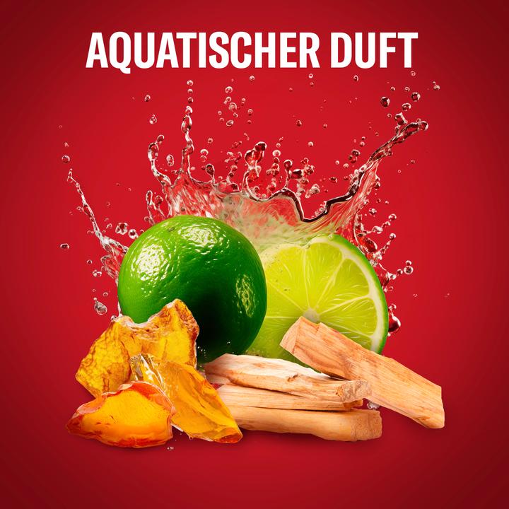 Actual product image Old Spice Whitewater (1000 ml)