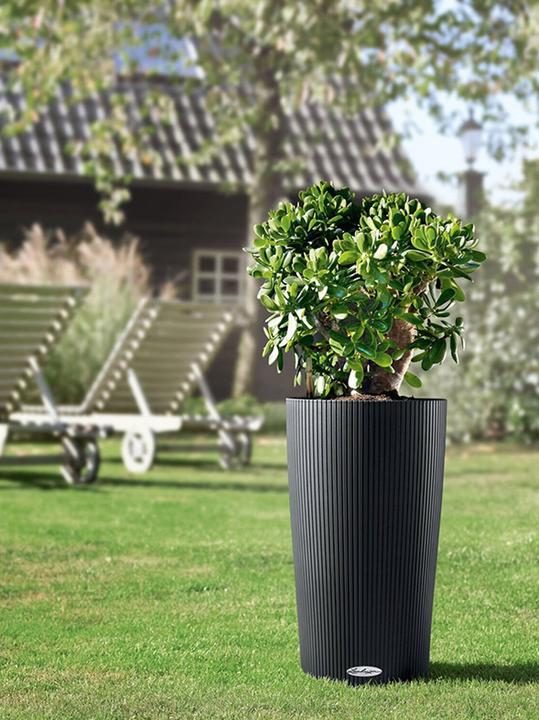 Actual product image Lechuza Cilindro 32 (32 cm)