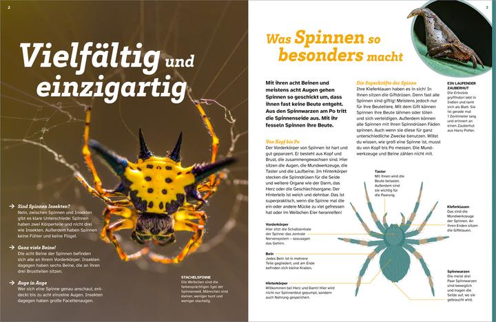 Actual product image Tessloff WAS IST WAS Spinnen. Akrobaten auf acht Beinen (German, Inga Marie Ramcke, 2024)