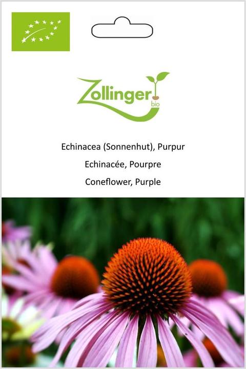 Zollinger Bio Echinacea (fiore di conifera) (Pianta bulbosa)