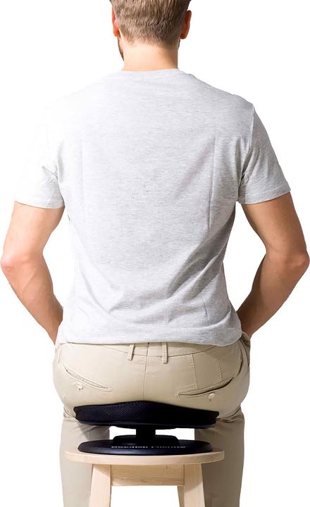 Actual product image Swedish Posture Posture Balance Core