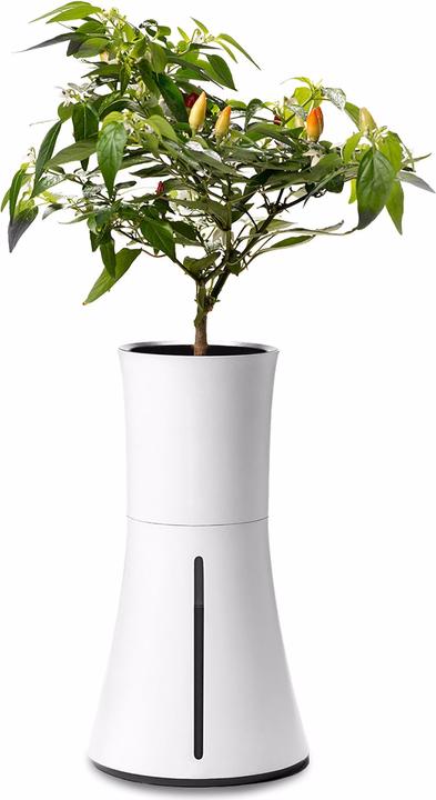 Produktbild Botanium Selbstbewässernder Topf (15 cm)