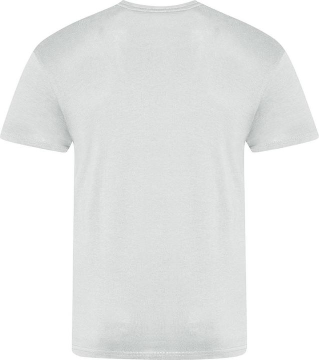 Actual product image Awdis The 100 TShirt (S)