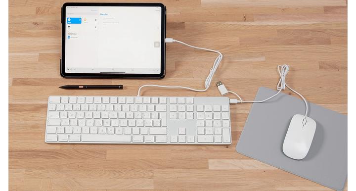 Actual product image LMP easy mouse (Cable)