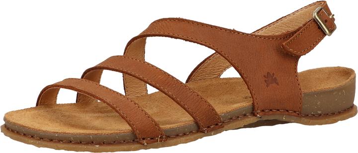 El Naturalista Sandalen (40)
