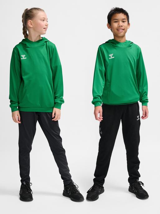 Immagine prodotto hummel Hmlauthentic Pl Hoodie Kids (140)