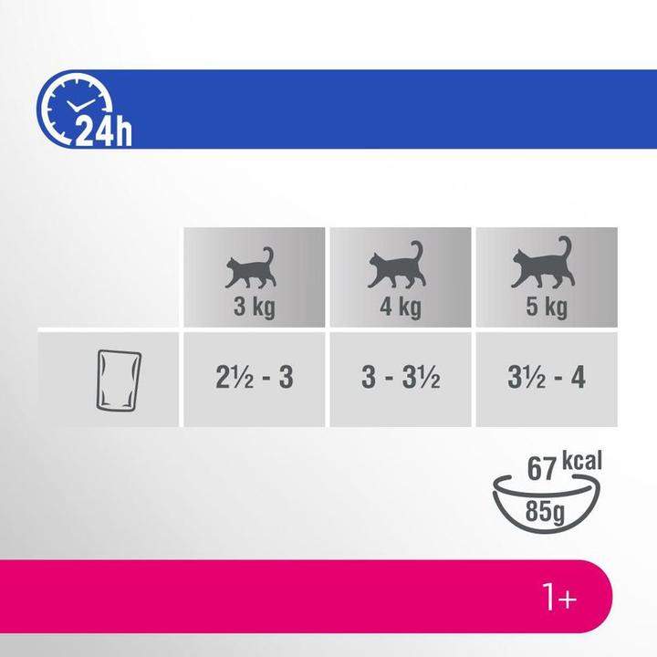 Produktbild Perfect Fit Adult 1+ (Adult, 12 Stk., 1020 g)