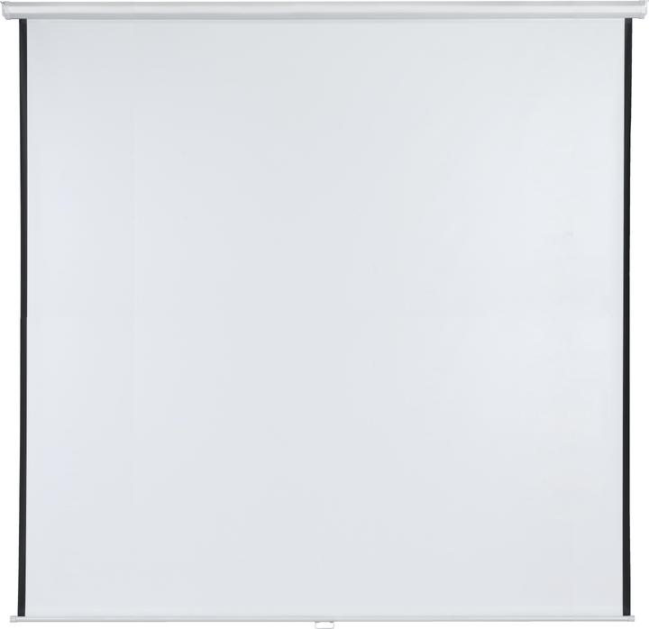 Projector screens