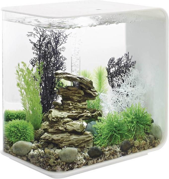 Image du produit Oase Aquarium Acryl biOrb FLOW LED 30 l blanc