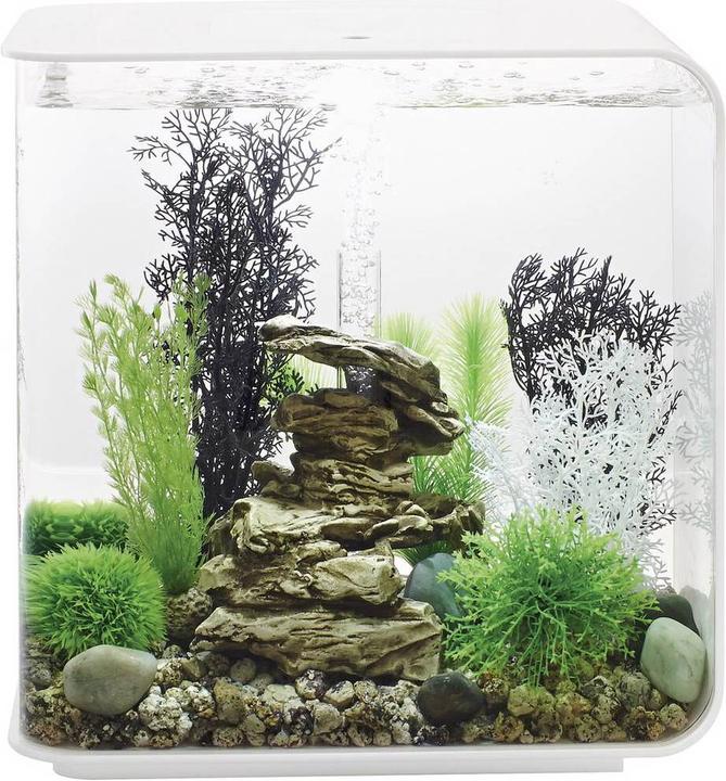 Image du produit Oase Aquarium Acryl biOrb FLOW LED 30 l blanc