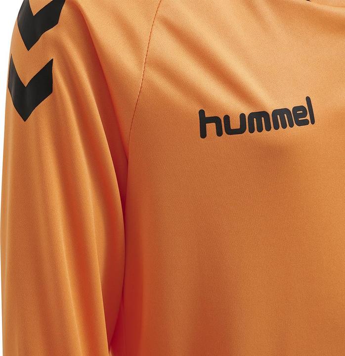 Actual product image hummel Core Kids Gk Set (152)