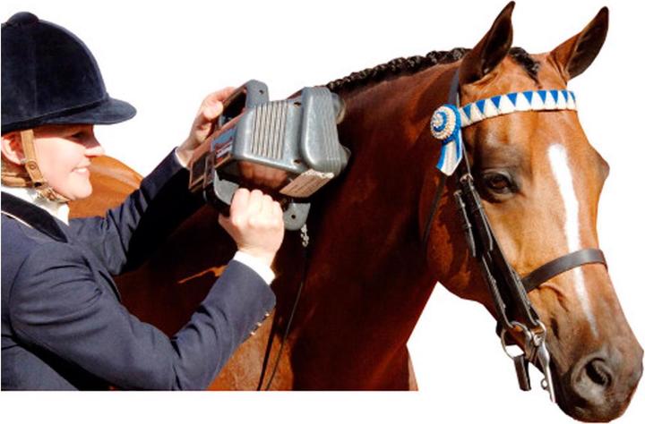 Immagine prodotto Thumper Massaggiatore Equine Pro