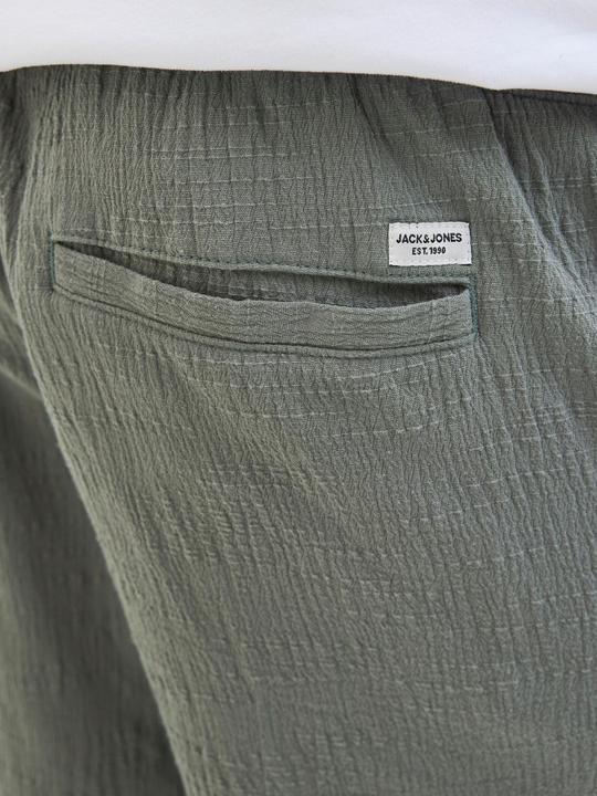 Actual product image Jack & Jones Jogger Fit Shorts Shorts (S)