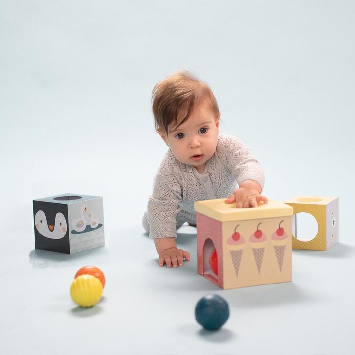 Actual product image Taf Toys North Pole