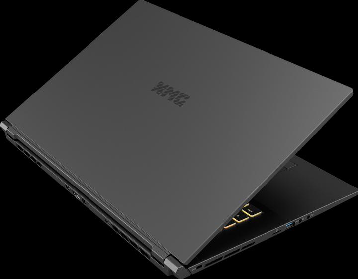 Actual product image XMG Pro 17 – E21pyp (17.30", Intel Core i7-10870H, 16 GB, 1000 GB, DE)