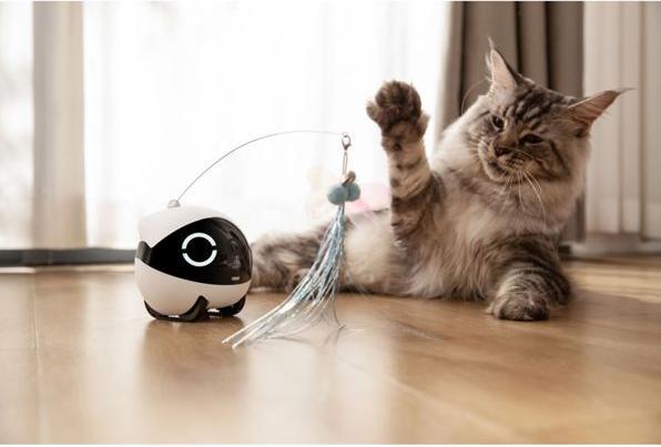Produktbild Bituxx Rola Cat Teaser – zusätzliches Katzenspielzeug für den Roboter Rola Mini