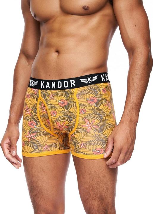 Immagine prodotto Kandor Florid Boxer Uomo Misura Confezione 7 (M, Confezione da 7)
