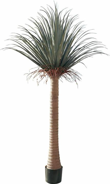 Actual product image Loberon Deko-Palme Remivon grün/braun (160 cm)