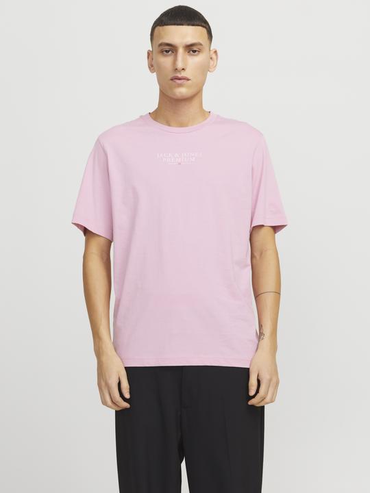 Image du produit Jack & Jones Jprbluarchie Ss Tee Crew Neck Noos (L)