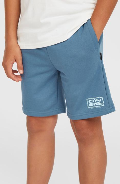 Immagine prodotto O'Neill Logo Sweatshorts (104)