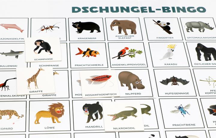 Actual product image Jungle Bingo (German)