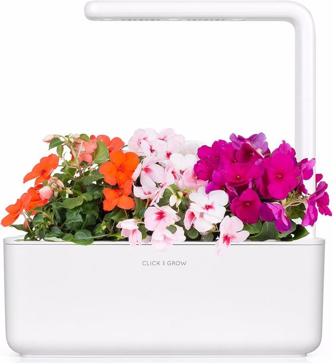 Image du produit Click and Grow Lizzy l'occupée (Graines de fleurs)
