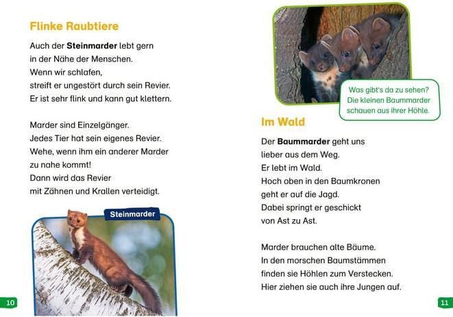 Actual product image Tessloff WAS IST WAS Erstes Lesen easy! Band 17. Tiere in der Nacht (German, Sonja Meierjürgen, 2024)