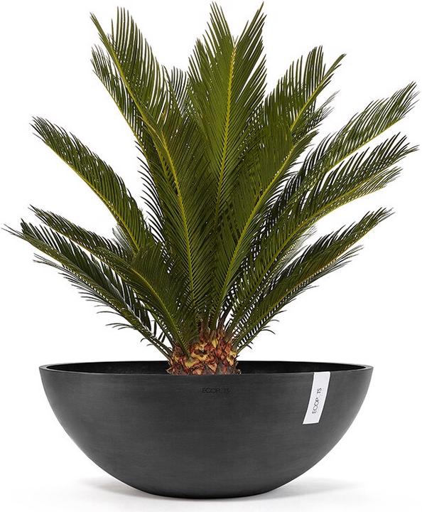 Produktbild Ecopots Vienna