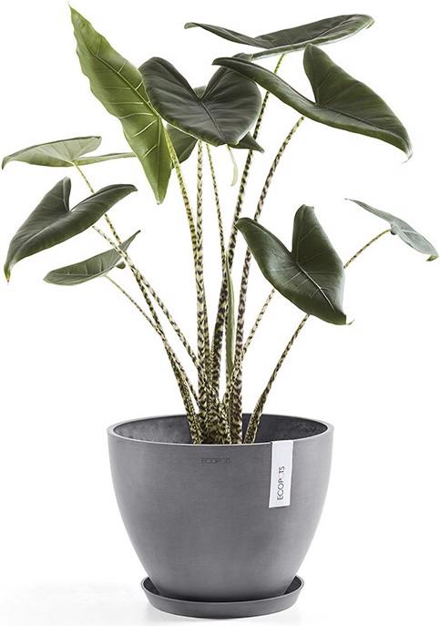 Actual product image Ecopots Saucer Round