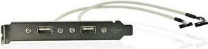 Immagine prodotto Delock Staffa a slot 2x USB 2.0 a 10 pin di testata (0.30 m, USB 2.0)