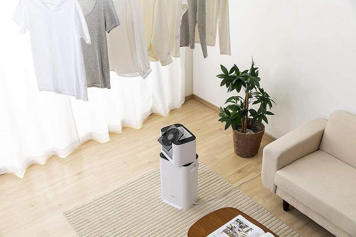 Actual product image Iris Ohyama Ceramic dehumidifier (21 m²)
