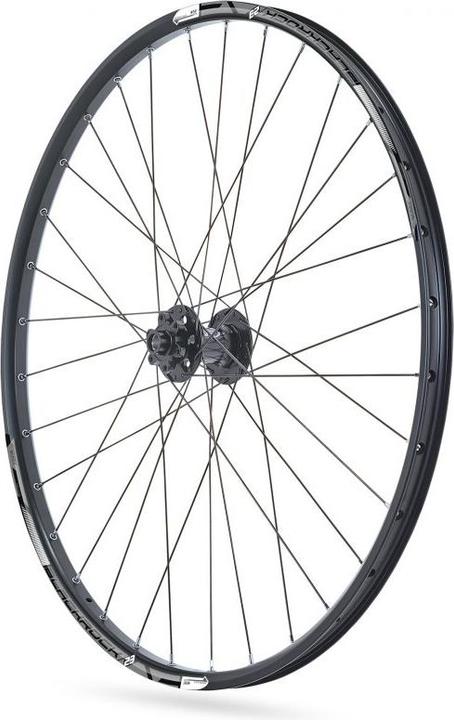 Rodi Vorderrad 29" blackrock 23 thru-axle 15x100mm etrto 23x622 (Vorderrad, 29")