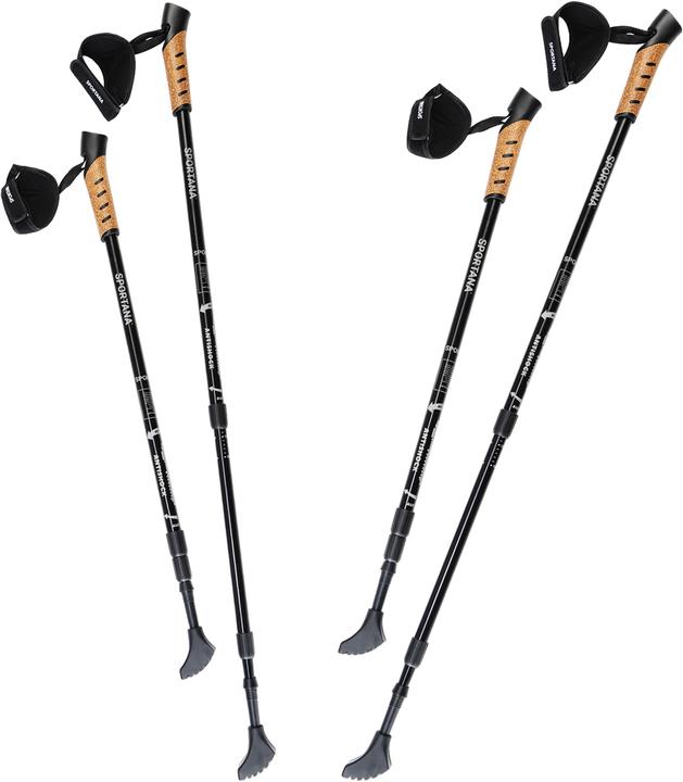 Deuba Hiking poles (135 cm)
