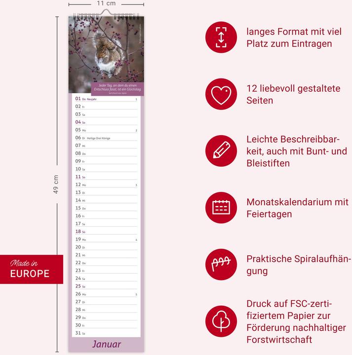 Image du produit times&moreTagevollerGlückLangplaner2026 (11 x 49 cm, Allemand)
